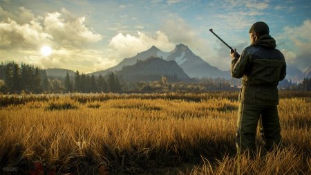 Thehunter call of the wild