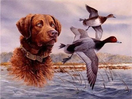 Jim killen художник