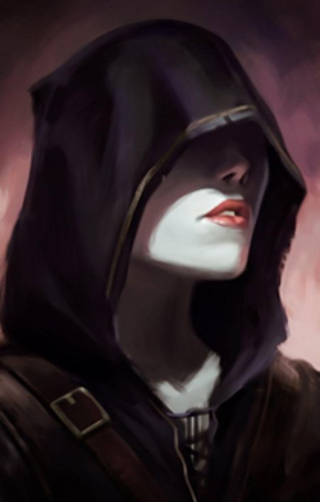 Pillars of eternity портрет в капюшоне