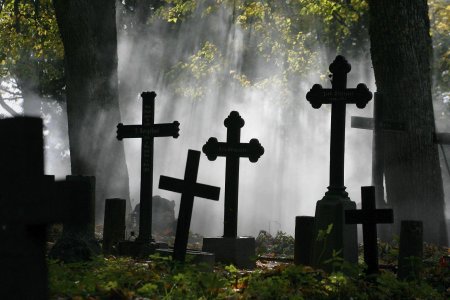 Кладбище кресты