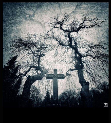 Cemetery prazeres кладбище