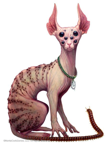 Египетский сфинкс кошка