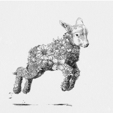 Рисунок ягненка