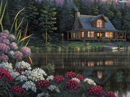 Художник ким норлиен (kim norlien).