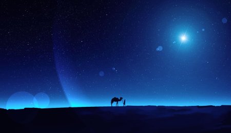 Ночь в пустыне