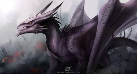 Драконы irenbee