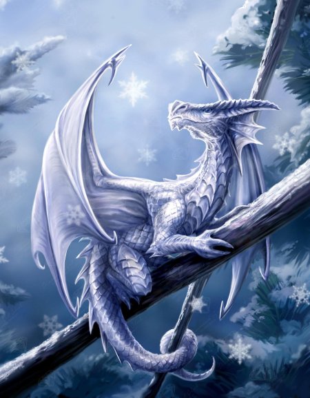 Anne stokes драконы