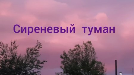 Сиреневый туман