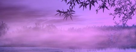 Природа в фиолетовых тонах