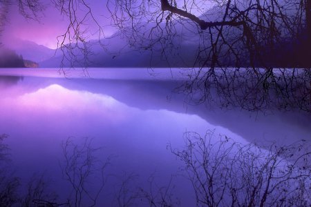 Фиолетовая природа