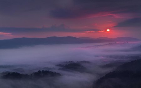 Горы туман