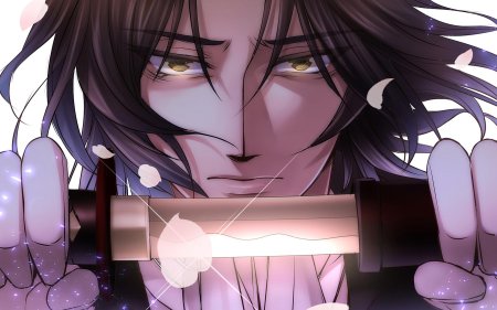 Hijikata toshizo