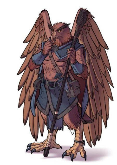 Ааракокра aarakocra