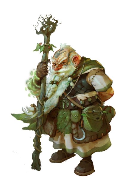 Dnd гном друид