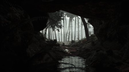 Jungle book 2016