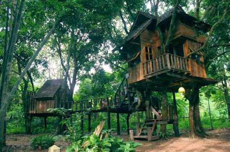 Tree houses in thailand