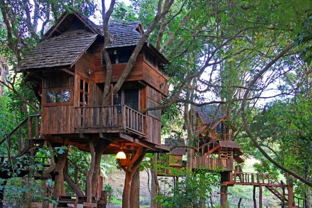 Отель treehouse домики на деревьях