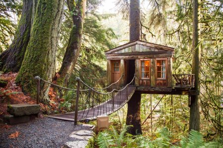 Отель treehouse домики на деревьях