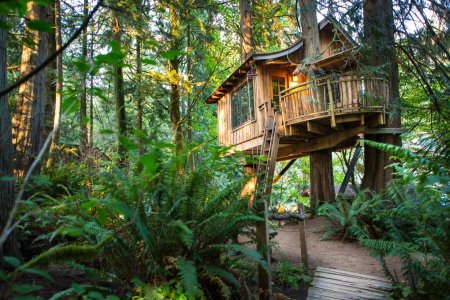 Отель treehouse домики на деревьях