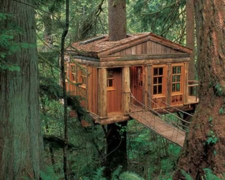 Tree houses philip jodidio