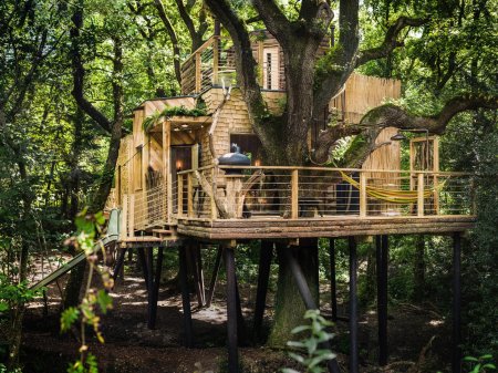 Treehouse домик на дереве
