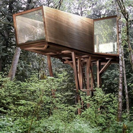 Дом на дереве (treehouse) баумраум
