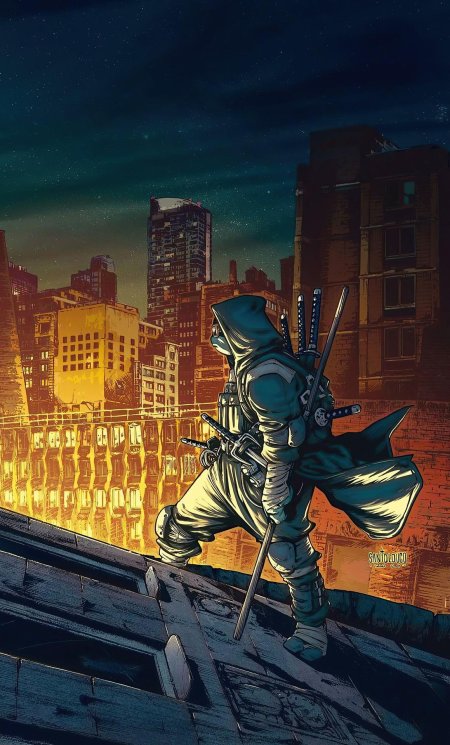 Teenage mutant ninja turtles the last ronin