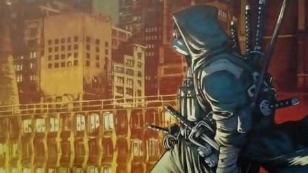Teenage mutant ninja turtles the last ronin