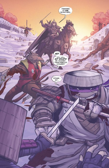 Teenage mutant ninja turtles the last ronin