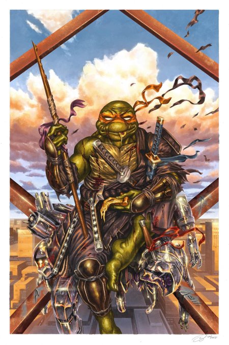 Tmnt последний ронин