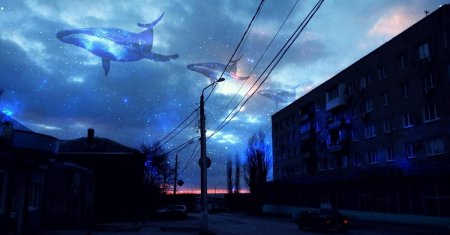 Небесный кит геншин
