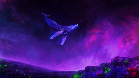 Космические киты