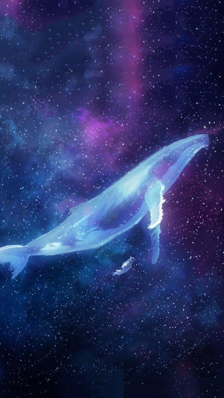 Космические киты