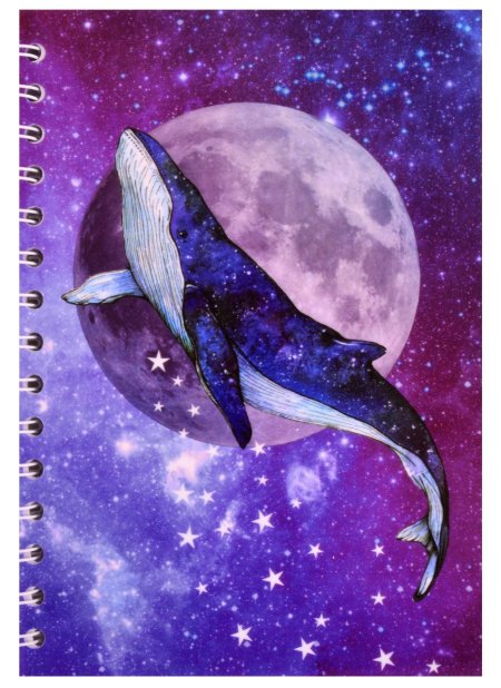 Космические киты