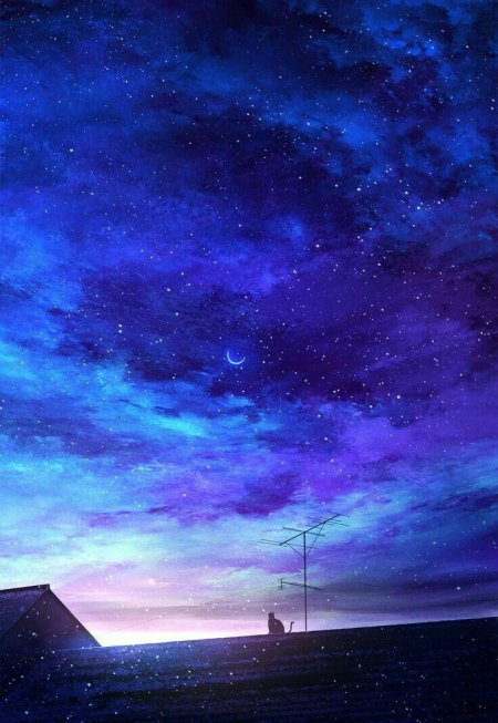 Starry sky аниме