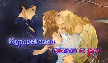 Королевство шипов и роз арты