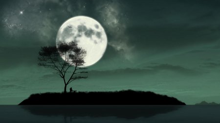 Лунная ночь