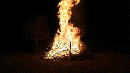 Bonfire fire