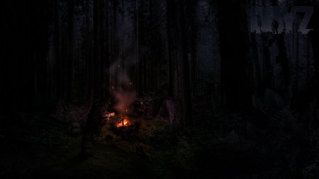 Костер в лесу ночью