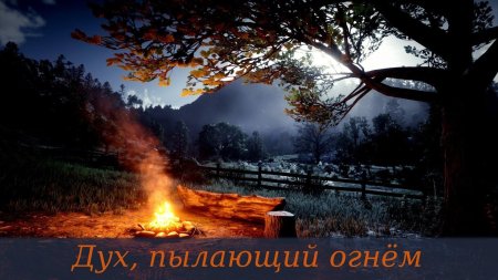 Костер в лесу ночью