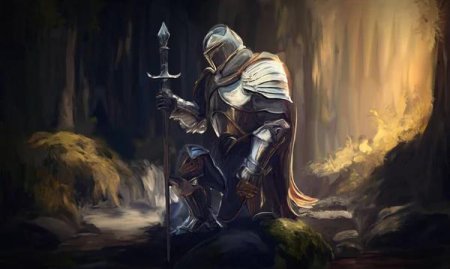 Дарк соулс девушка рыцарь арт