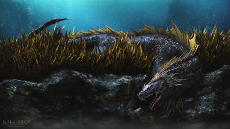 Морской дракон draco marinus