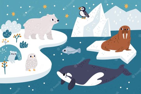 Арктика иллюстрация