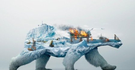 Экология арктики