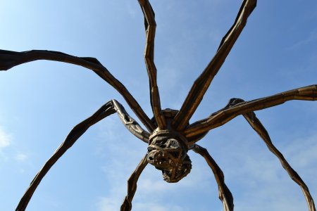 Гигантский паук музей гуггенхайма