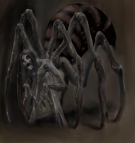 Паук арахнид