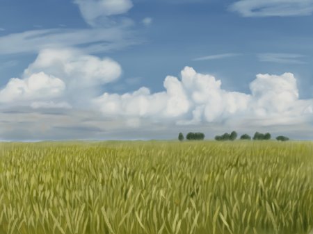 Поле арт
