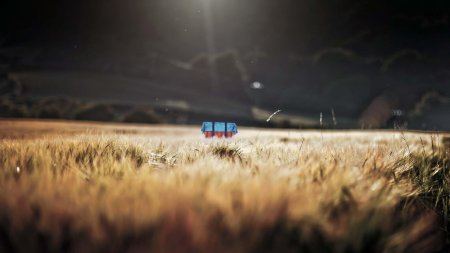 Ночное поле