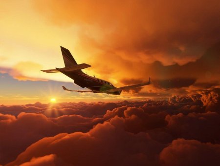 Microsoft flight simulator x