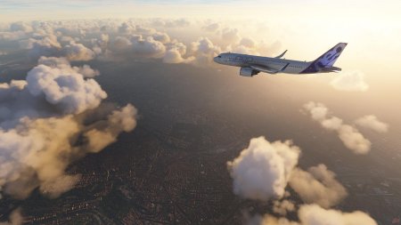 Microsoft flight simulator 2020